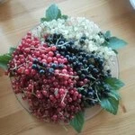 Ольга Новосёлова